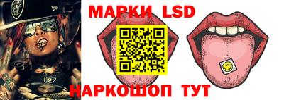 гидропоника Берёзовский