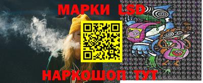 тгк Бийск