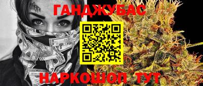 тгк Бийск