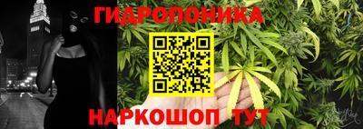 гидропоника Берёзовский