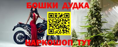 тгк Бийск