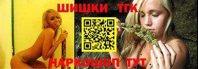 тгк Бийск