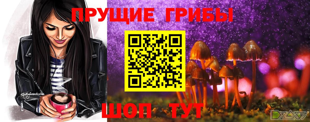 Воркута  Псилоцибиновые грибы прущие грибы  Вход с VPN 