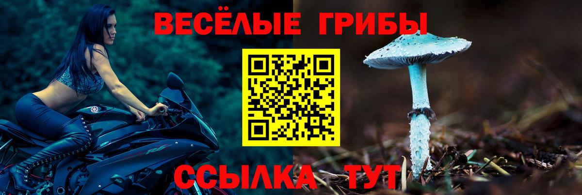 Галлюциногенные грибы ЛСД Воркута